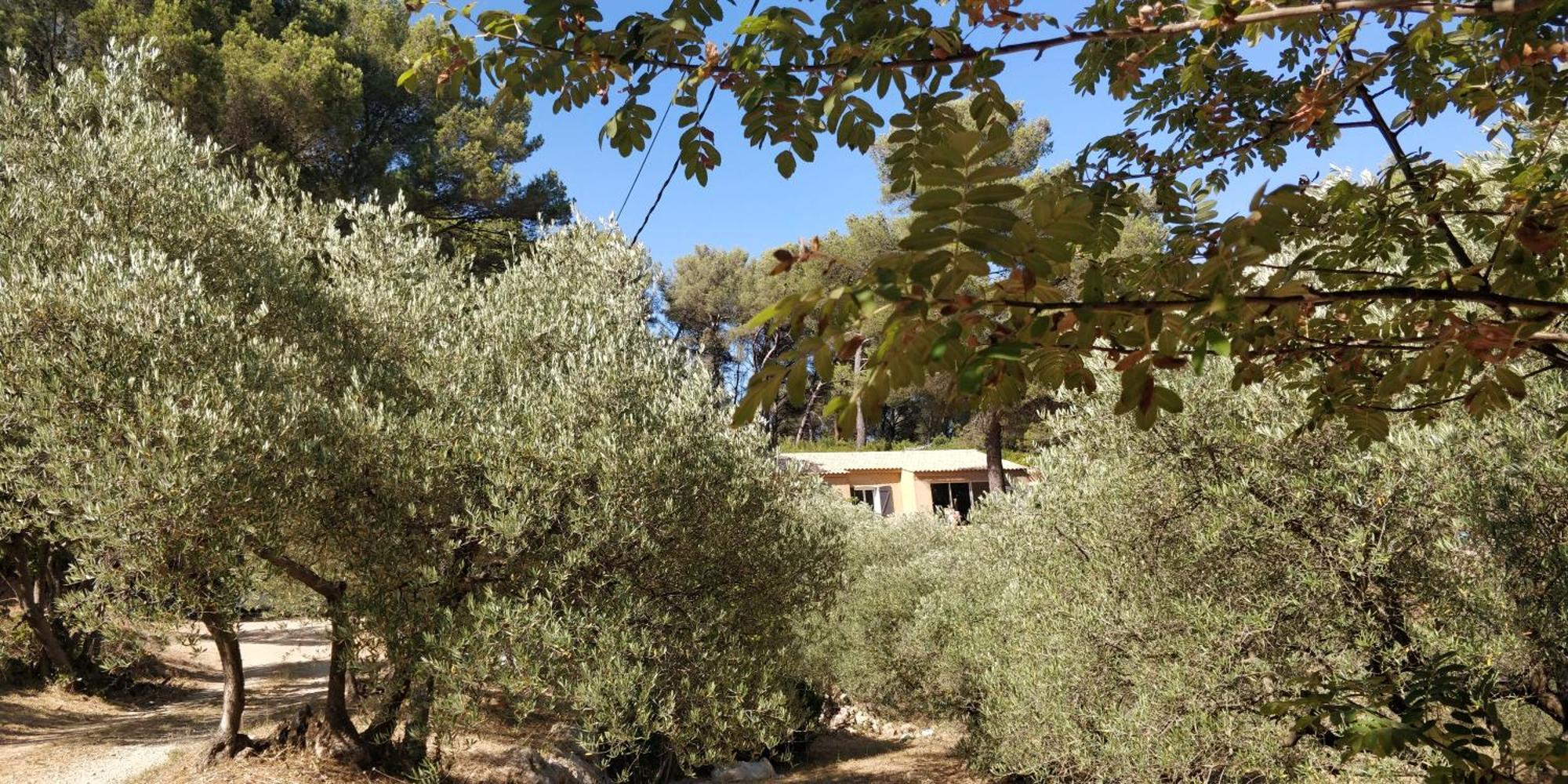 Villa Cigalons En Pleine Pinede Avec Piscine Chauffee De Mai A Septembre Auriol Bagian luar foto