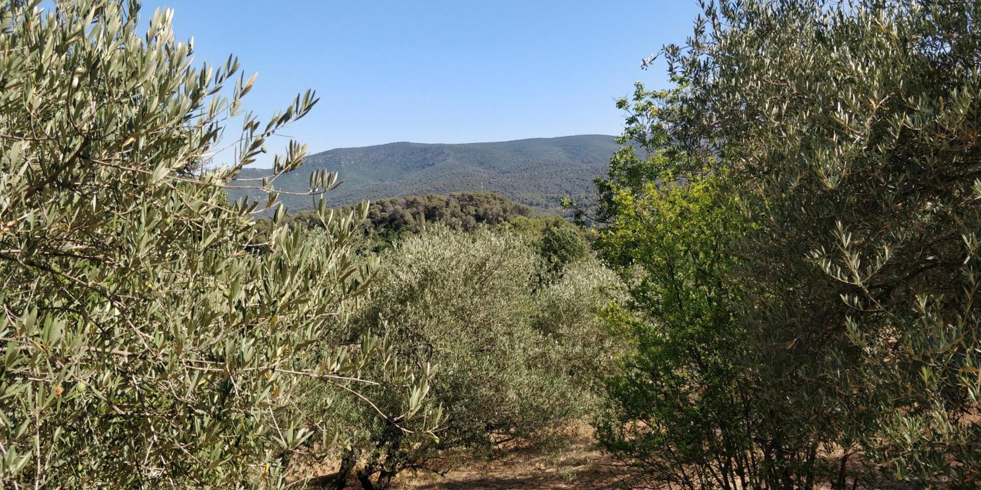 Villa Cigalons En Pleine Pinede Avec Piscine Chauffee De Mai A Septembre Auriol Bagian luar foto