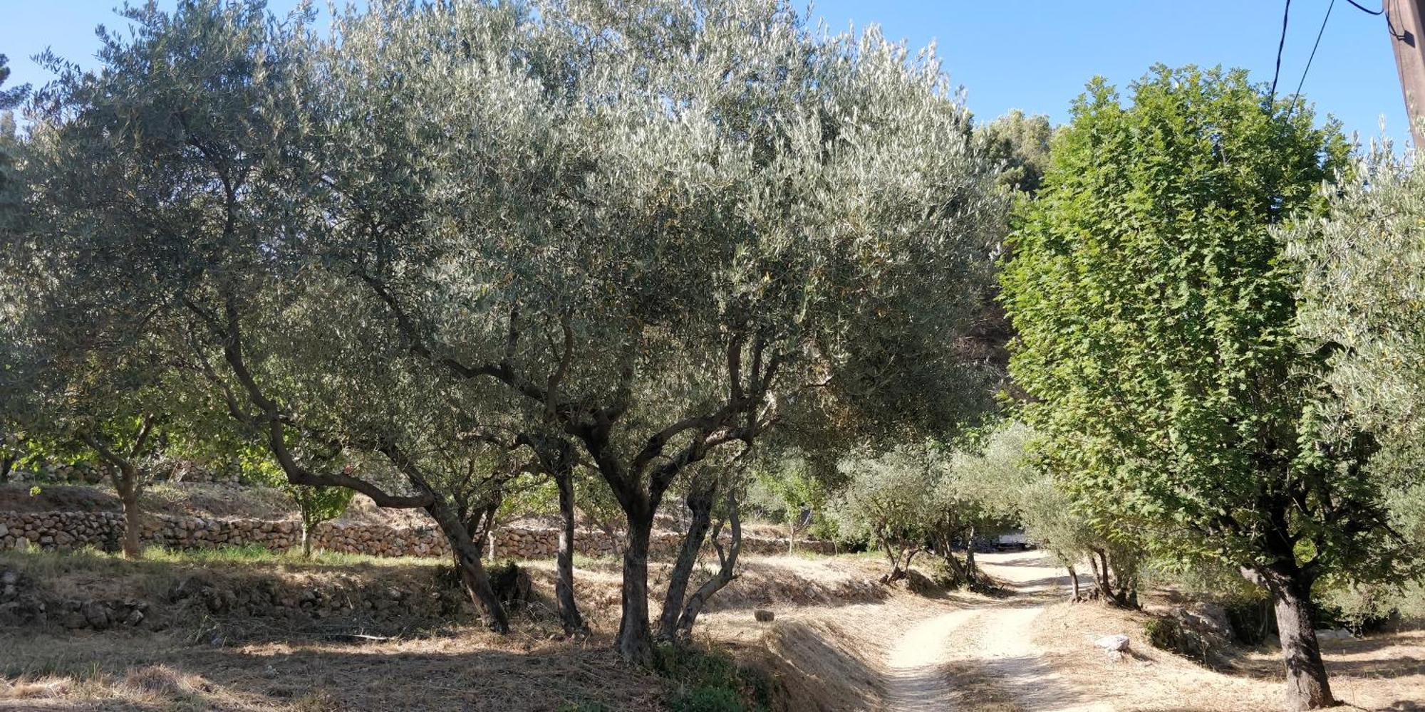 Villa Cigalons En Pleine Pinede Avec Piscine Chauffee De Mai A Septembre Auriol Bagian luar foto