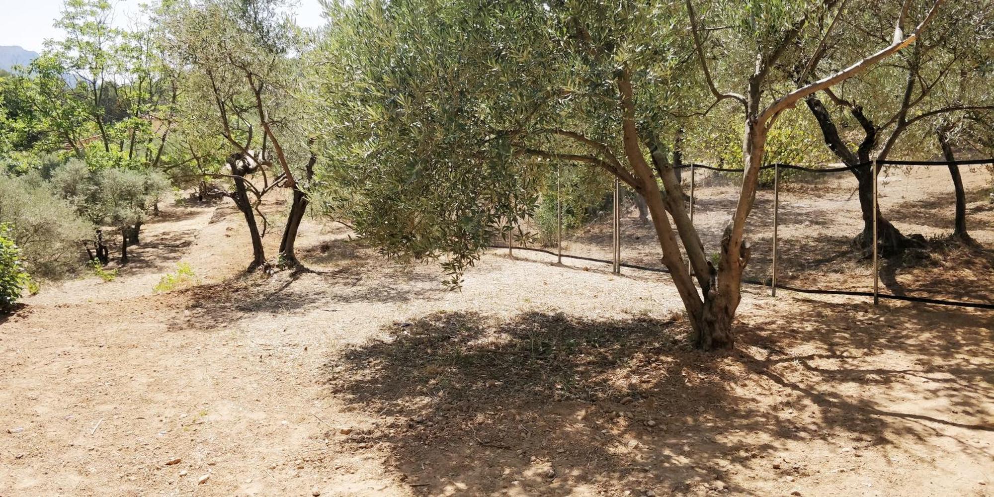 Villa Cigalons En Pleine Pinede Avec Piscine Chauffee De Mai A Septembre Auriol Bagian luar foto