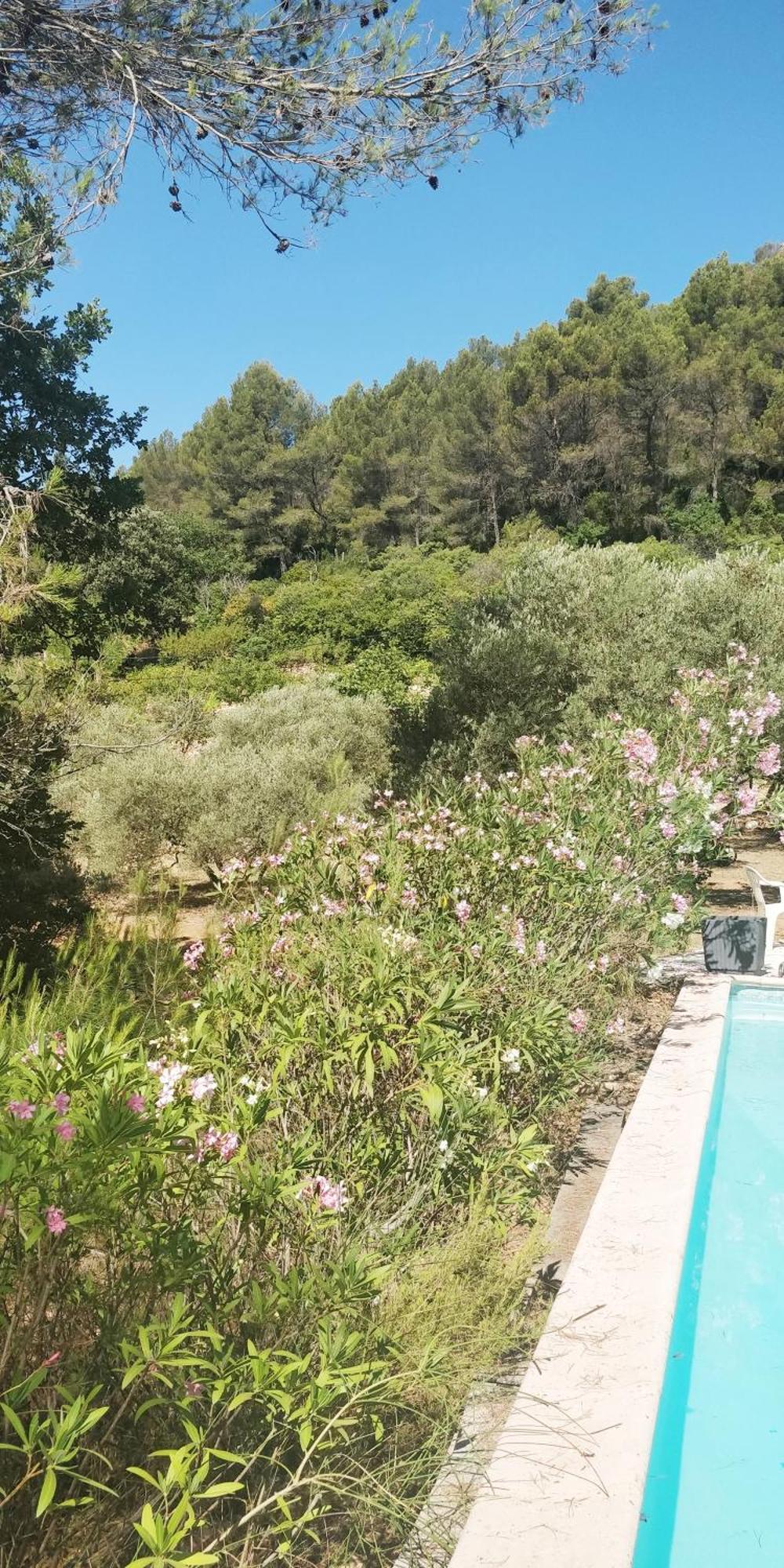 Villa Cigalons En Pleine Pinede Avec Piscine Chauffee De Mai A Septembre Auriol Bagian luar foto