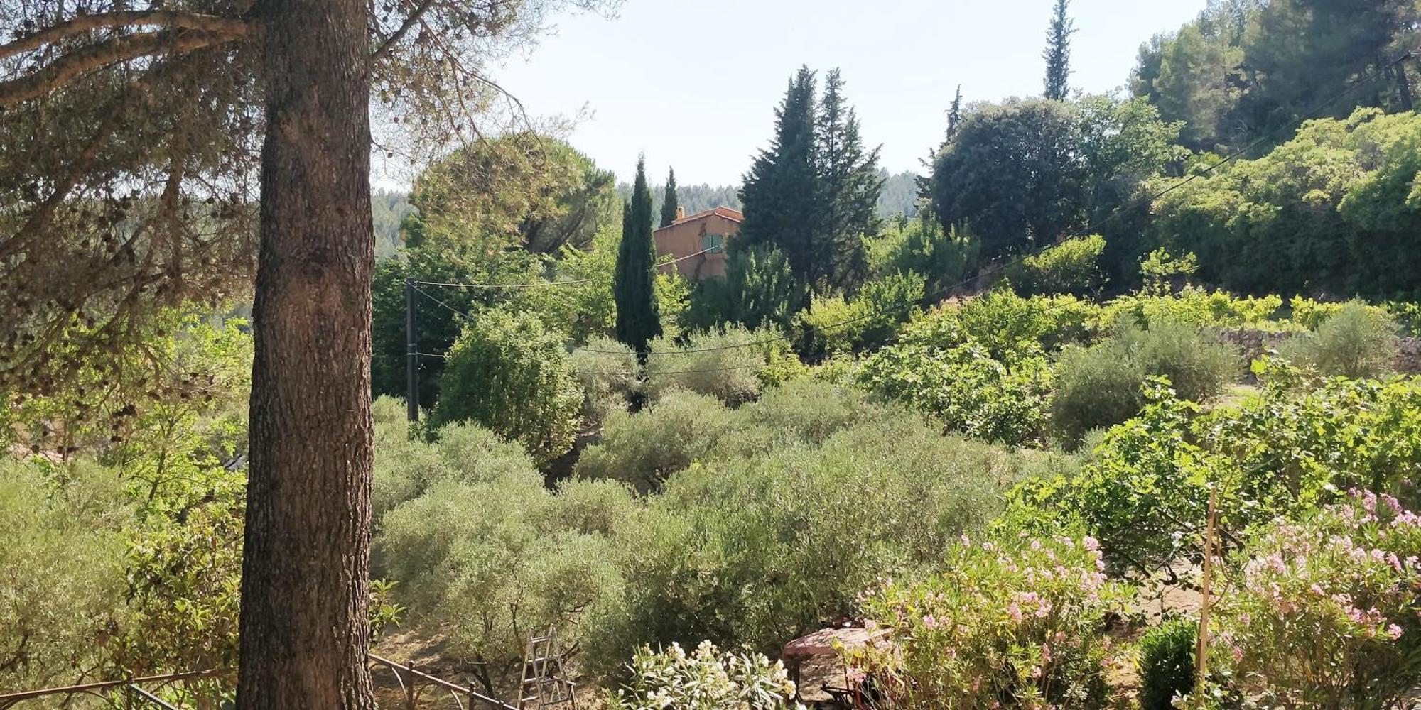 Villa Cigalons En Pleine Pinede Avec Piscine Chauffee De Mai A Septembre Auriol Bagian luar foto