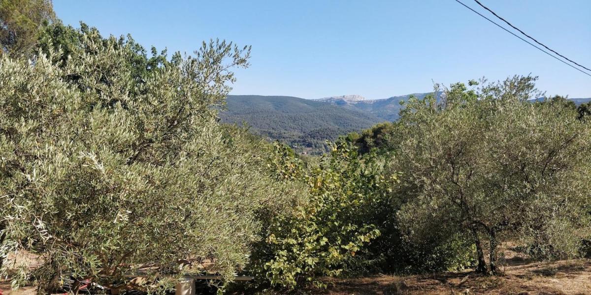 Villa Cigalons En Pleine Pinede Avec Piscine Chauffee De Mai A Septembre Auriol Bagian luar foto