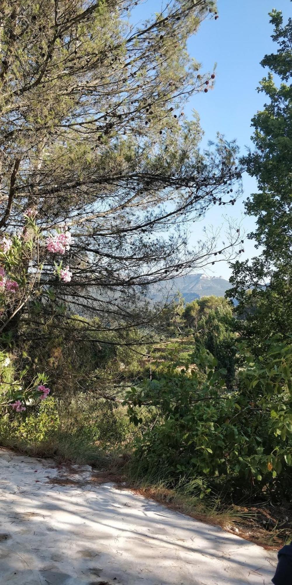 Villa Cigalons En Pleine Pinede Avec Piscine Chauffee De Mai A Septembre Auriol Bagian luar foto