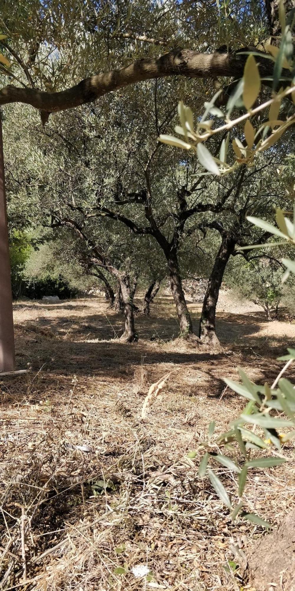 Villa Cigalons En Pleine Pinede Avec Piscine Chauffee De Mai A Septembre Auriol Bagian luar foto